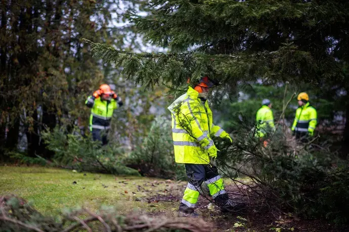 työntekijöitä turvavaatteissa metsässä