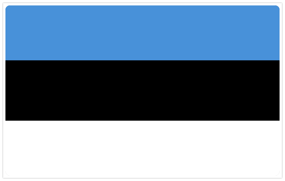 Estonia flag Embroidered 60*40mm