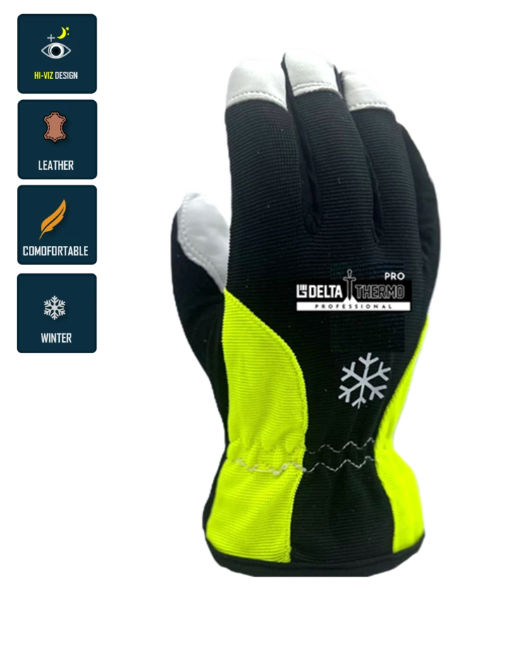 Winter glove Waterproof Delta Thermo-Pro 1016W