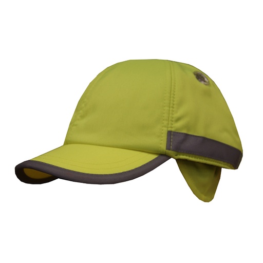 Bump Cap Winter