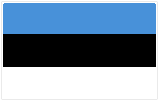[Viro-flag] Estonia flag Embroidered 60*40mm